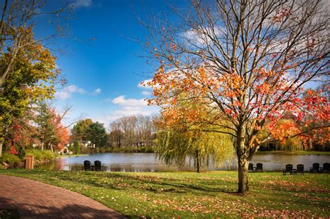 Gervasi Vineyard, USA