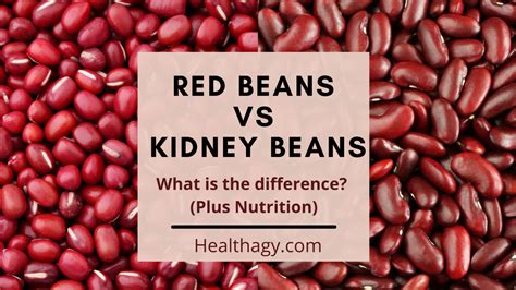 Red Beans vs Kidney Beans: What is the Difference? (Plus Nutrition) - Healthagy
