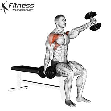 Dumbbell Seated Alternate Front Raise » Workout Planner