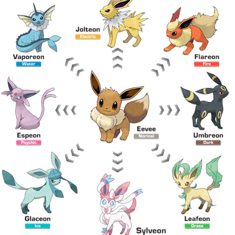 Eevee Evolutions Poison