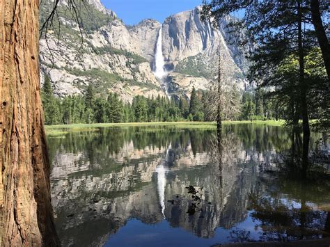 The beautiful El Capitan Mountain in Yosemite National Park, California, USA (4032 x 3024) [OC ...