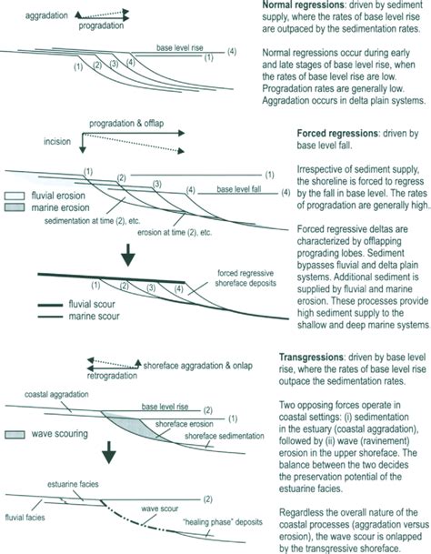 2-2. Concepts of transgression, normal regression, and forced ...