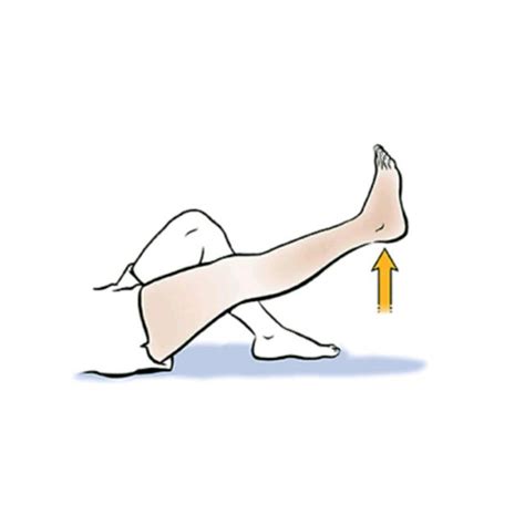 Straight Leg Raise by Patricie K - Exercise How-to - Skimble