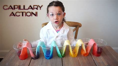 Amazing Science Experiments for Kids | Easy at Home Science Projects ...