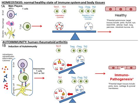 Biomedicines | Free Full-Text | Restoring the Balance between Pro ...