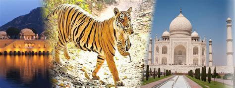 Book Golden Triangle Tour with Ranthambore- Tiger Paw Adventures