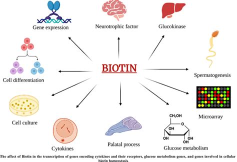 Current Pharmacogenomics and Personalized Medicine | Bentham Science