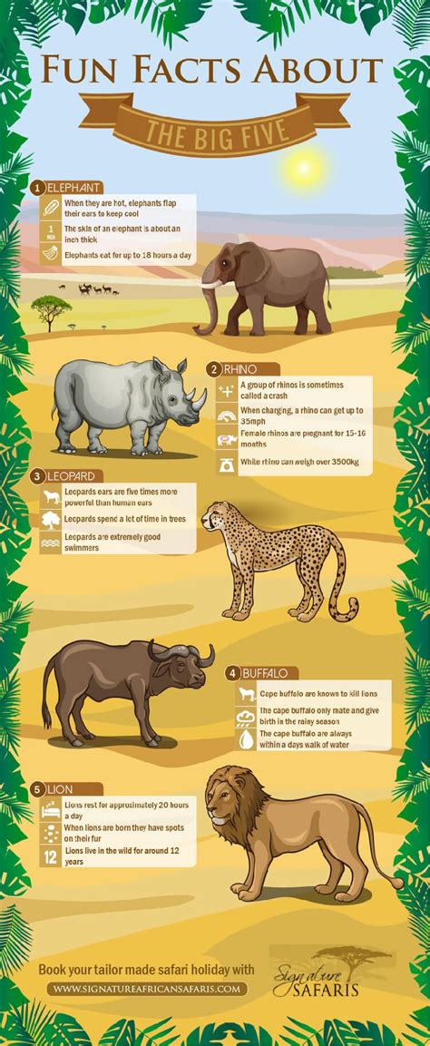 Big Five Animals Material