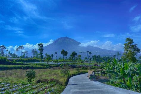 Premium Photo | View of gunung sumbing or mount sumbing with road and ...