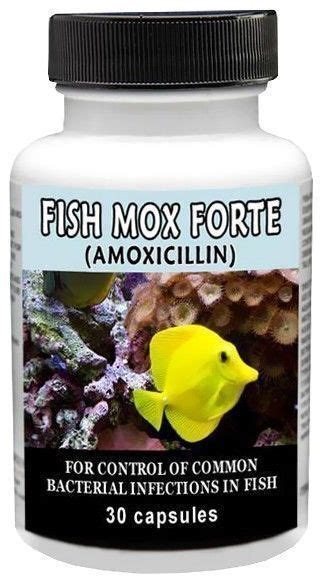 Thomas Labs Fish Mox Forte Amoxicillin 500mg Antibiotics - 30 Capsules ...