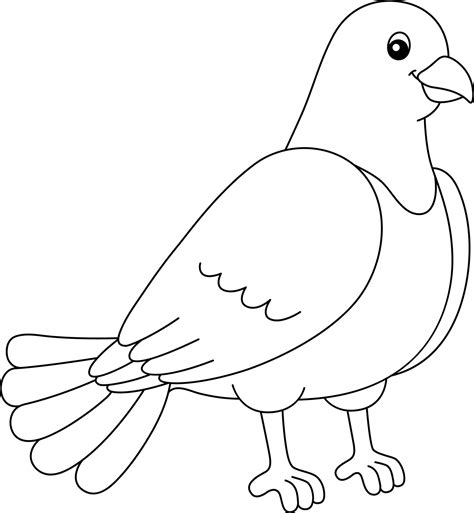 Pigeon Coloring Page Isolated for Kids 5163242 Vector Art at Vecteezy