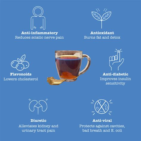 12 Palo Azul Tea Nutrition, Proven Health Benefits - TeaFame