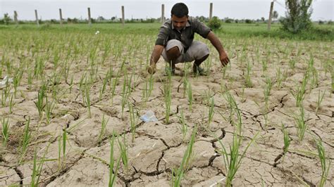 Weak monsoon rains worry India's farmers, IMD says all fine — Quartz India