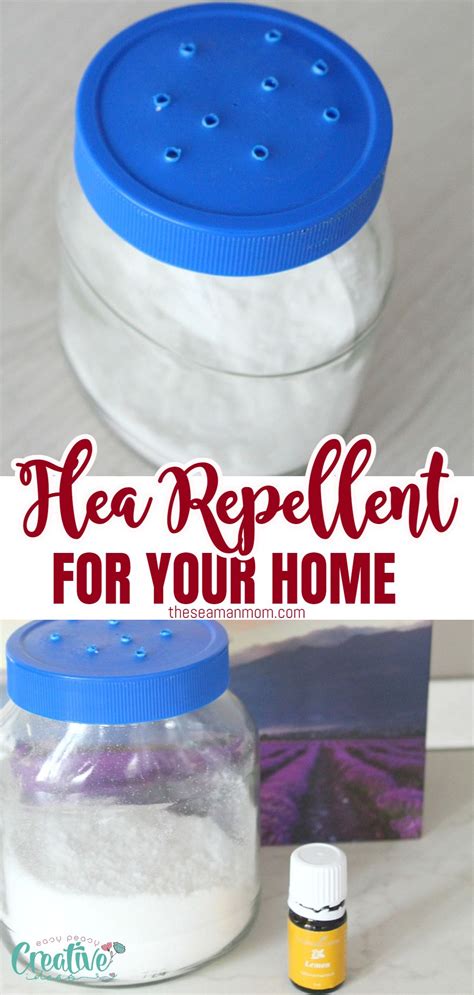 DIY Natural Flea Repellent Powder For Home - Easy Peasy Creative Ideas