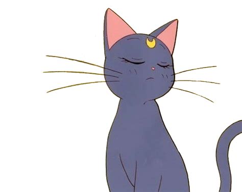 #Sailormooncat #Sticker | Sailor moon cat, Anime cat, Sailormoon aesthetic