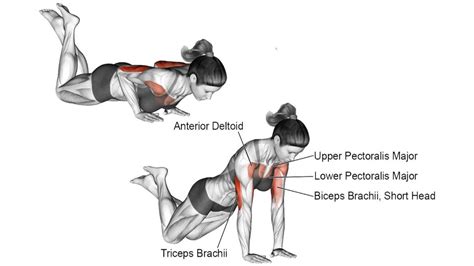 Regular Vs Wide Vs Close Grip Push Up Exercise Guide