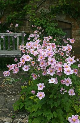 BROUGHTON CASTLE GARDENS | LINDSEY RENTON | Flickr