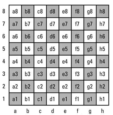 Chess Board Dimensions | Basic And Guidelines - Kaabil Kids