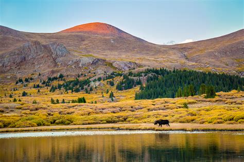 Biodiversity within the National Wilderness Preservation System: How Well Do Wilderness Areas ...