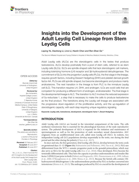 (PDF) Insights into the Development of the Adult Leydig Cell Lineage from Stem Leydig Cells