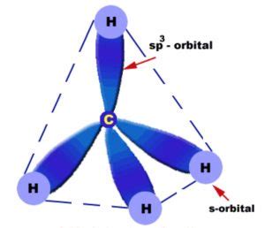 Shapes Of Simple Organic Compounds - Chemistry, Class 11, Organic ...