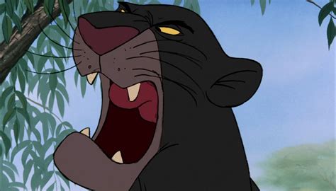 Image - Bagheera the Black Panther screams HALT!!.jpg | Jungle Book Wiki | Fandom powered by Wikia