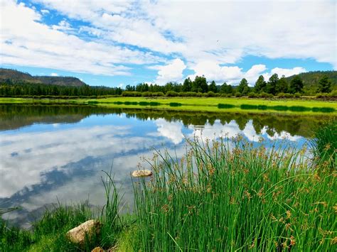 Arizona road trips: 3 of the state's most scenic drives