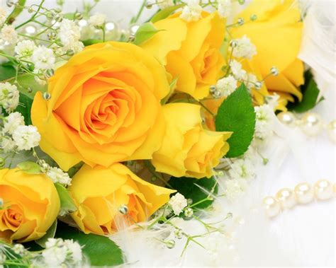 Yellow Roses Wallpapers - Wallpaper Cave