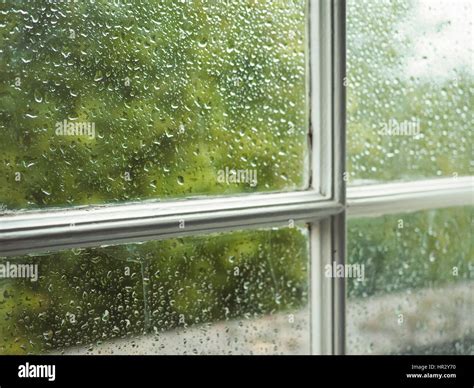 Wet window pane with rain water droplets and greenery background Stock ...