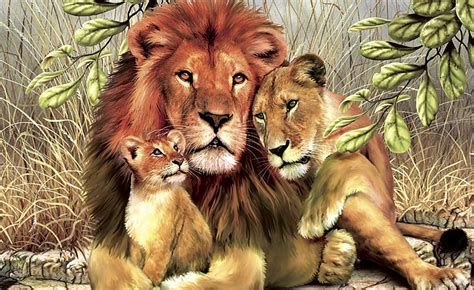 What Animal Lion Family