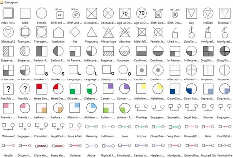 Genogram Symbols | Edraw