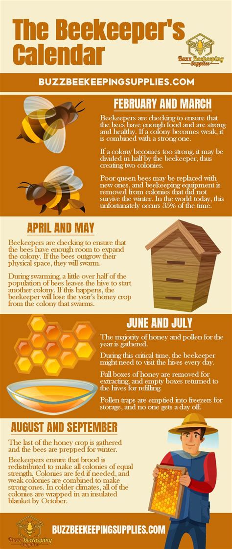 The Beekeeper’s Calendar | Bee keeping, Bee keeping supplies, Honey bee ...