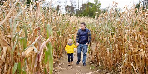 19 Best Corn Mazes for Kids 2019 | Family Vacation Critic