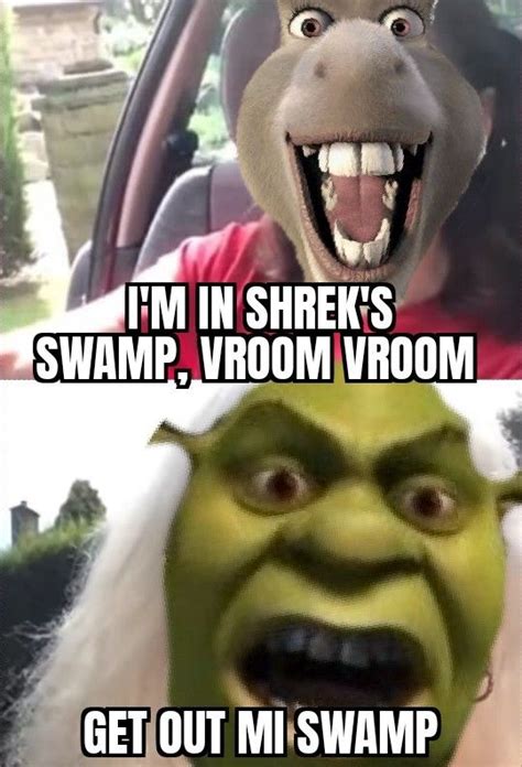 Shrek, Get Out Mi Swamp. MEME | Shrek, Memes, Swamp