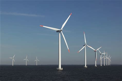 Offshore wind farms – green energy or biodiversity threat? | IUCN