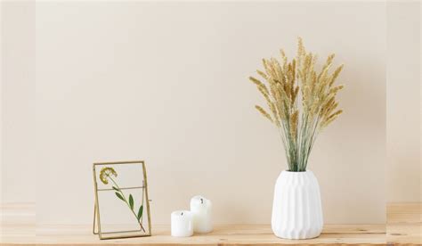Flower Vase Designs: Elevate Your Home Decor