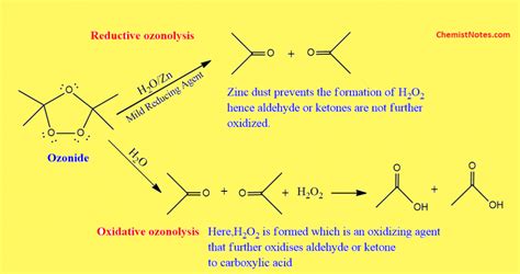 Ozonolysis of alkenes and alkynes: Mechanism, examples - Chemistry Notes