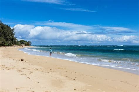 Hauula Hawaiian Home - Experience island living! UPDATED 2019 - TripAdvisor - Hauula Vacation Rental