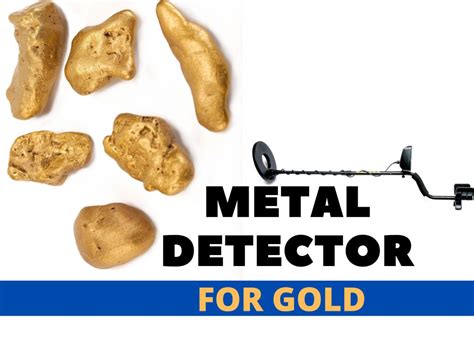 Best Metal Detector for Gold: Top 8 Models Reviewed