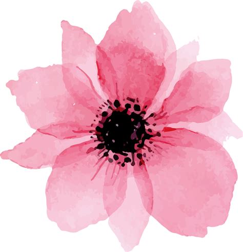 Watercolor painting Watercolour Flowers Art Pink flowers - flower png ...