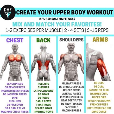 Create your own upper body workout – Artofit