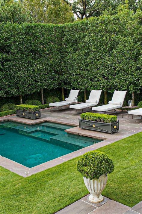 pool privacy landscaping ideas - Danyel Berube