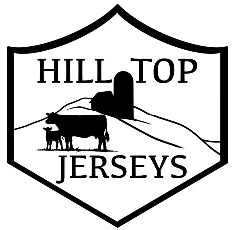 Sold Jersey Cows 1 | Hill Top Jerseys