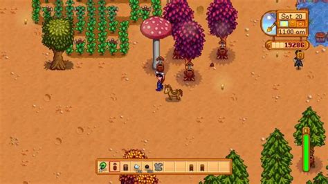 Stardew Valley Tips and Tricks 38 | BucketListGames