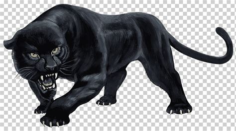 Puma illustration, Real Panther Simulator Panthera Wild Panther Sim 3D Real Black Panther Real ...