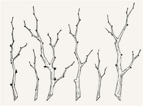 Tree Branch Line Drawing