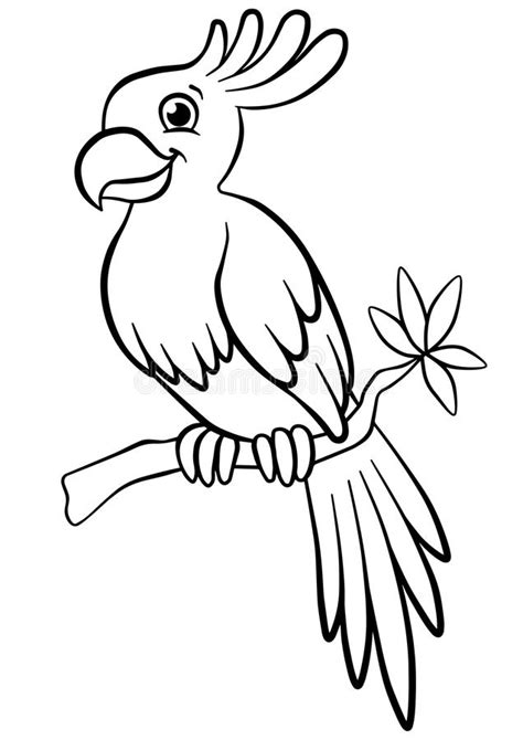 black and white parrot clipart 10 free Cliparts | Download images on ...