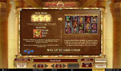 Book Of Dead Slot Review 2024 – Win Up to $250,000 In Ancient Egypt!