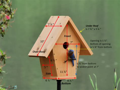 DIY Bluebird-Approved Birdhouse Tutorial – FanningSparks