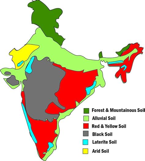 On An Outline Physical Map Of India Mark And Label Major Soil Types | Images and Photos finder